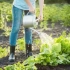 Як штовхати рослини в саду - поради, щоб збільшити врожай